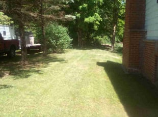 George M.'s Lawn Mowing service result