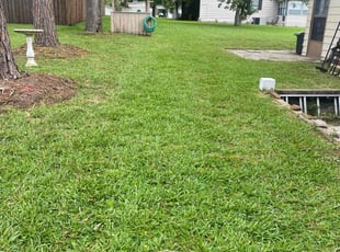 Jill S.'s Lawn Service service result