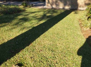 Trevis B.'s Lawn Service service result