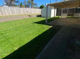 Tamara F.'s Lawn Care service result