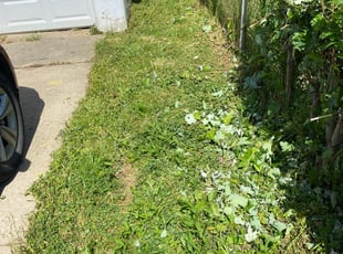 Landscaping by Larry Walker for Andrew R. in Columbus, OH