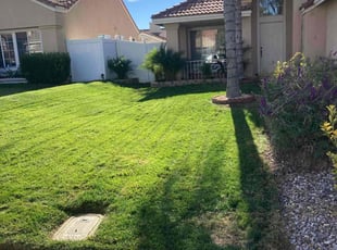 Michael V.'s Lawn Mowing Service service result