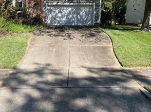 Allison R.'s Grass Cutting service result