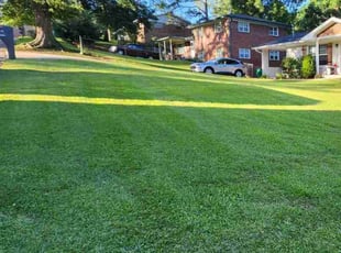 Mike R.'s Lawn Service service result