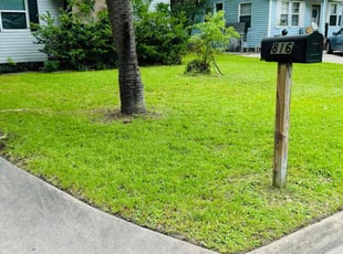 Sheena C.'s Lawn Mowing Service service result