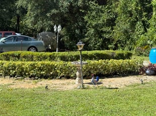 Bush Trimming by Harold Cummings for Guy H. in Cocoa, FL
