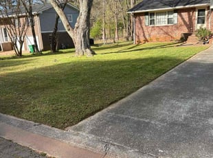 Jeremy P.'s Lawn Care service result