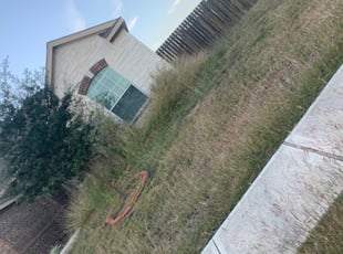Weeding by Salvador and Vega for Rey S. in Manor, TX