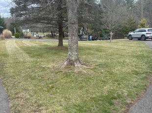 Ronda A.'s Lawn Maintenance service result