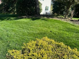 Ken K.'s Lawn Service service result