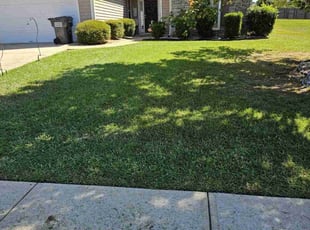 Sameerah M.'s Yard Cutting service result