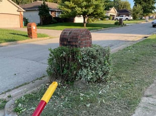 Bush Trimming by Edward Ball for Zach Z. in Springfield, MO