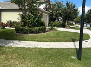 Willie D.'s Lawn Mowing service result