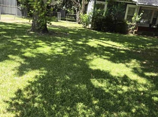Ny M.'s Lawn Care service result
