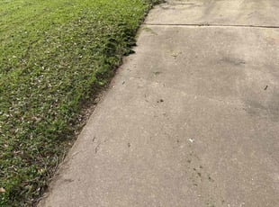 Larry J.'s Yard Cutting service result