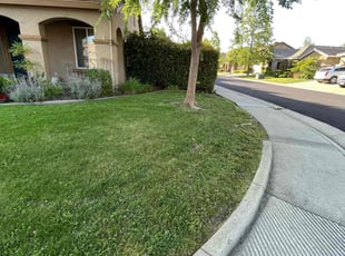 Stephanie C.'s Yard Cutting service result