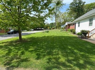 Pallavi C.'s Lawn Care service result