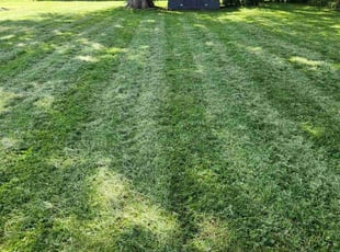 Joe O.'s Lawn Service service result