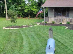 Mike K.'s Lawn Mowing service result