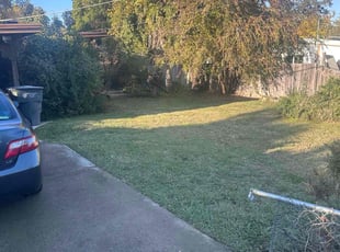 Kim D.'s Lawn Mowing service result
