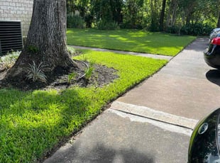 Jason K.'s Lawn Maintenance service result