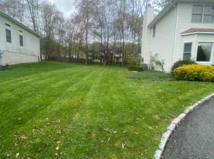 Ryan M.'s Lawn Care service result