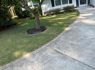 LaToya S.'s Grass Cutting service result