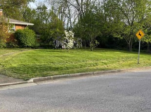 Frederick S.'s Lawn Mowing service result