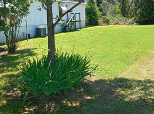 johnnie g.'s Yard Cutting service result