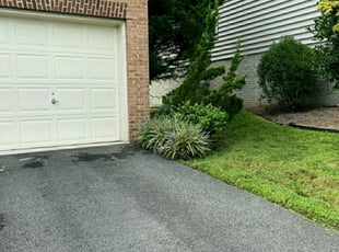Bush Trimming by Brandon Escobar for Lorraine D. in Springfield, VA