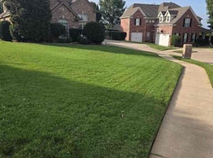 Chris T.'s Lawn Care service result