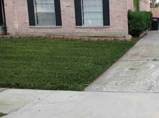 Martha M.'s Lawn Mowing service result