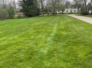 Ashton S.'s Yard Cutting service result