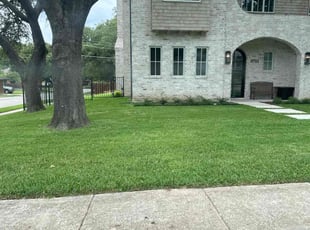 Terrail H.'s Lawn Care service result