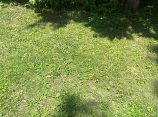 Cleanups by Owen Queen for Kristina E. in Dayton, OH