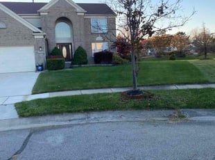 Chong C.'s Lawn Maintenance service result