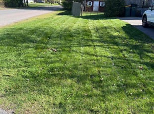 Andrea S.'s Lawn Service service result