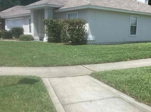 Bryan H.'s Lawn Mowing Service service result