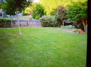 David L.'s Lawn Service service result