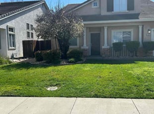 Matthew P.'s Lawn Mowing service result
