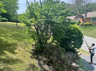 Bush Trimming by Home Lawn Care Services Mahome for Marjorie C. in Gary, IN