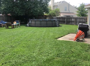 Sacha V.'s Lawn Mowing service result
