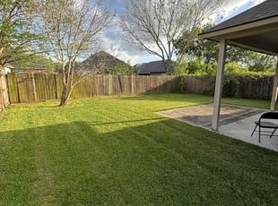 Michelle T.'s Lawn Mowing service result