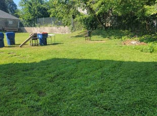 Bernice S.'s Grass Cutting service result
