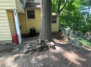Leaf Removal by Demetrieus Bennett for Tawana S. in Cleveland Heights, OH