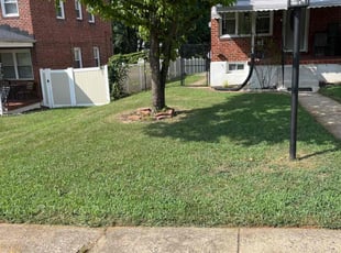 Valerie J.'s Lawn Mowing Service service result