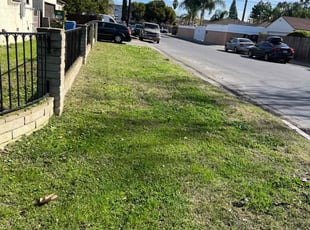 Beny R.'s Lawn Maintenance service result