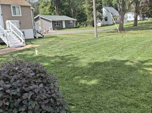 Veronica L.'s Yard Cutting service result