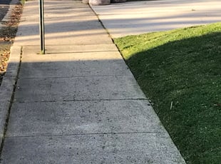 Leaf Removal by Kamonta Hackey for Suro S. in Arlington, VA