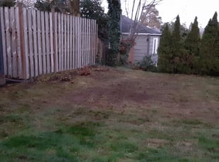 Leaf Removal by Sean Winkler for Emma G. in Seattle, WA